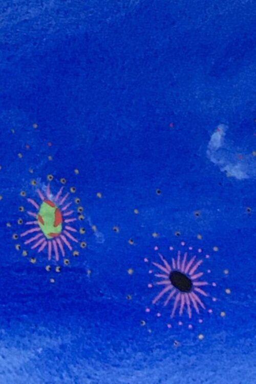 cosmos